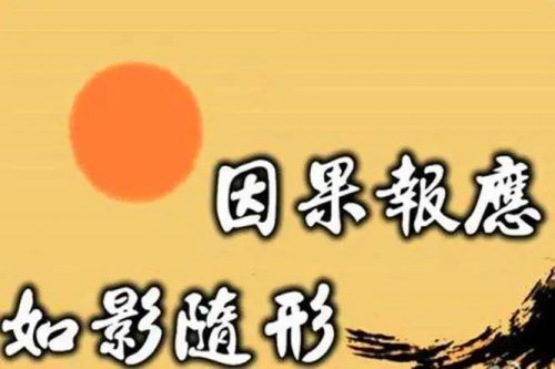 日夜盼望的奇迹终于出现了!