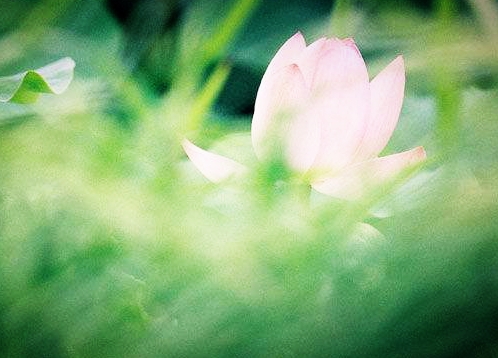 看看学佛的我们虔诚度到底有多少?