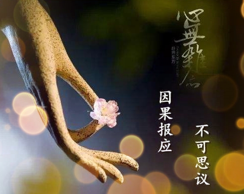 她亲身感受因果业报,接引家人走进如来正法大门