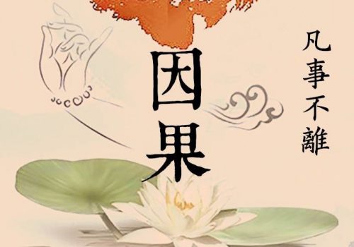 种善因,因缘具足收获成熟圆满的果实