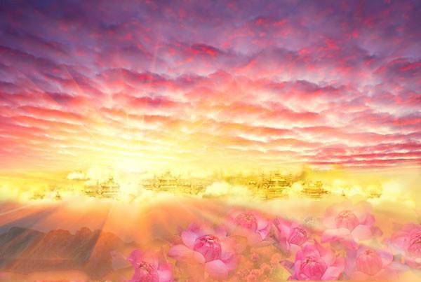 西方极乐世界游记六:下品下生往生者的业妄反映