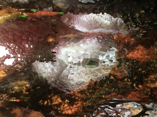 绝世珍宝 韵雕之皇“一石横娇”世界首展