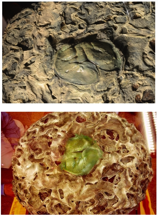 真正的佛法 就是不可思议