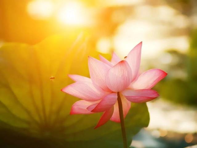 当你浮躁、烦闷、焦虑时,不妨多读读这几则故事