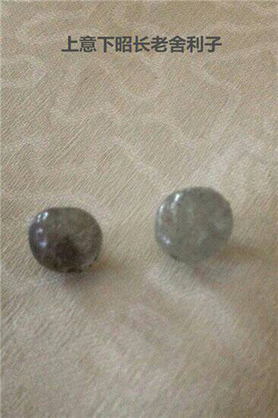 佛教禅门泰斗 意昭老和尚