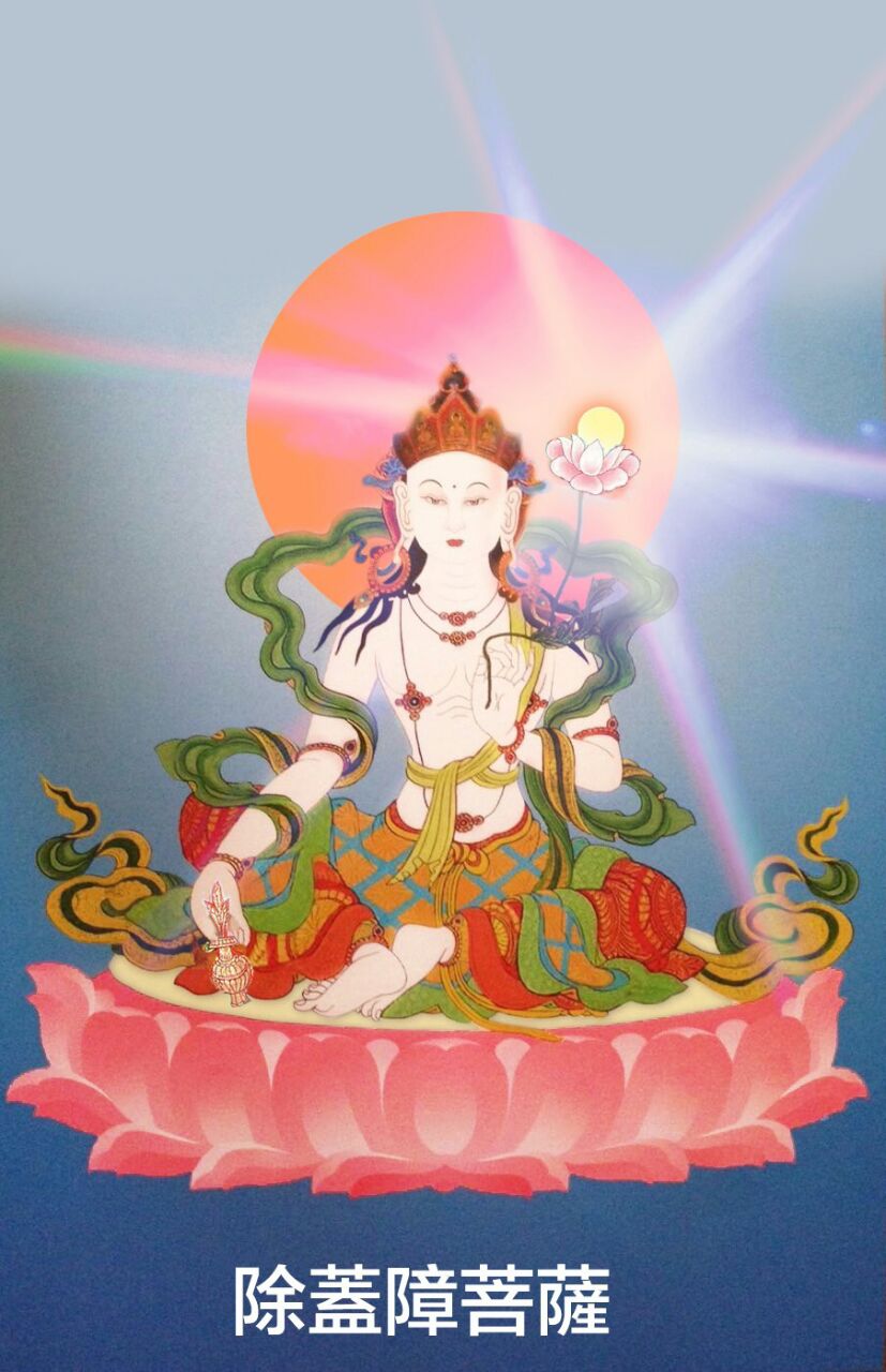 南无除盖障菩萨