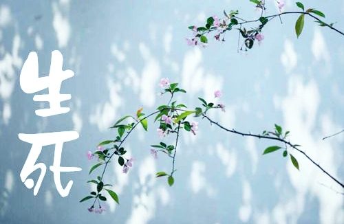 觉海文集：生死大事