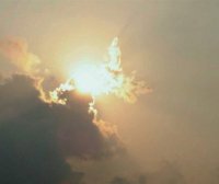 南无观世音菩萨现身虚空 白色莲花托足 庄严无比