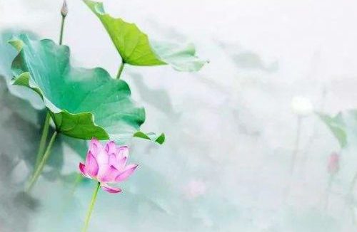 观世音菩萨只在南海普陀山吗?