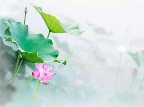 苦命女念佛往生的故事