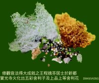 殊胜成就解脱实例，真正的佛法就在人间