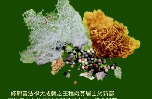 殊胜成就解脱实例,真正的佛法就在人间