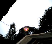 西方佛国天窗开 极乐圣境大家看 卢全芳居士证道 阿弥陀佛接走