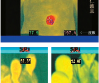 开初仁波且修摊尸拙火定 体温高达摄氏92 度