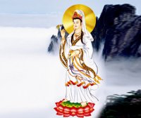 南无观世音菩萨简介