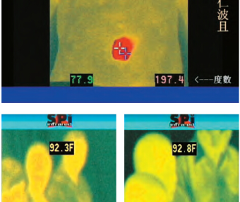 开初仁波且修摊尸拙火定 体温高达摄氏92 度