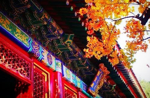 张口闭口菩提心,却不明菩提心含义,有成就解脱的可能吗?