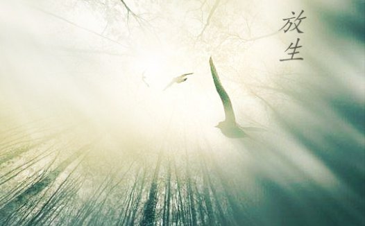 业力深重的众生,其实是我们自己