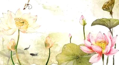 慈父安详往生，感恩佛力加持