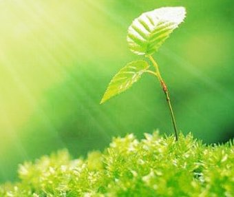 虚云老和尚惜福公案｜粮食啊！只可以吃，不可以糟蹋