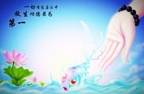 放生的意义与功德