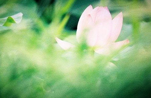 觉海文集：一翳在眼