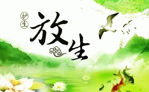 只有不断地迈出这一步，才能不断种下善因种子