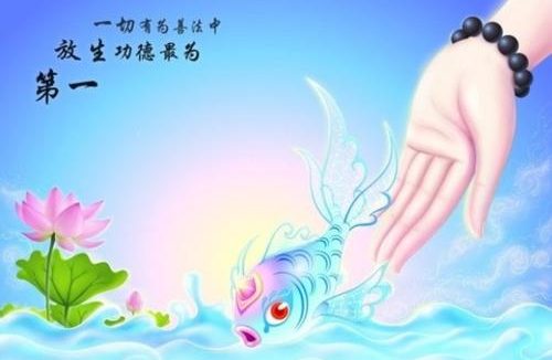 在救生过程中遇到困难就轻易放弃吗?