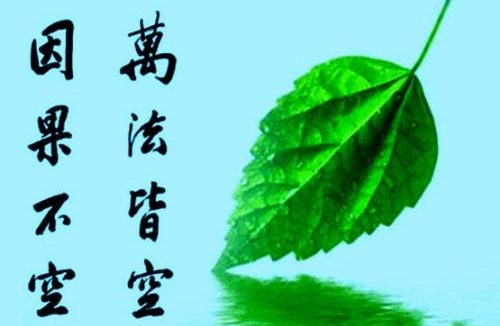 万法皆空,因果不空—略说因果业报