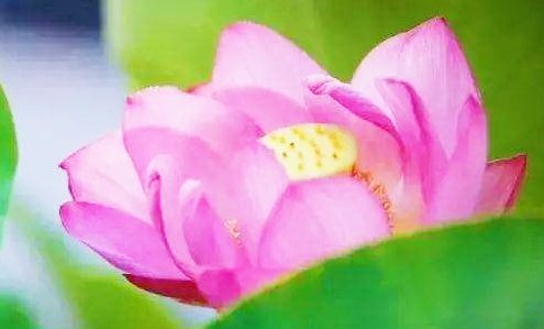 他有“金刚上师”附体,能让普通人成为超人?