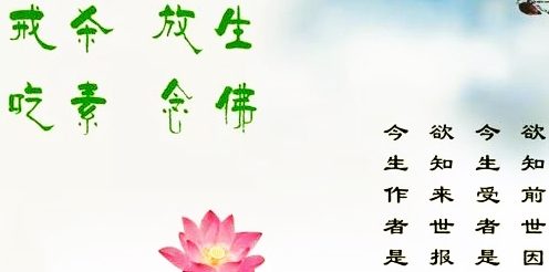 修行之道 慈心不杀