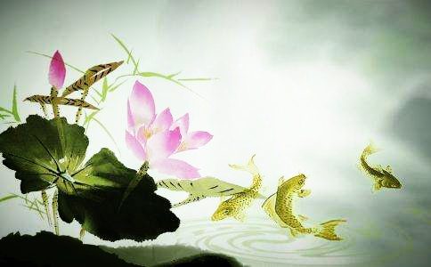 我恍然大悟:虽然闻法三年多了,却没有迈进真修行的门槛!