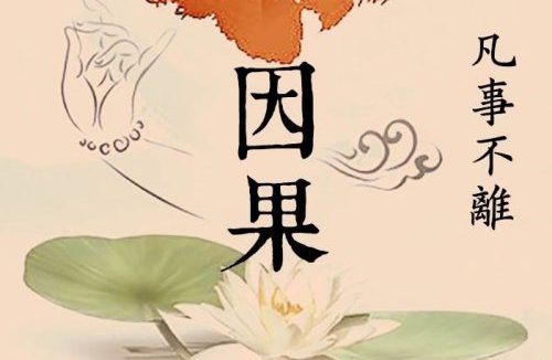 日夜盼望的奇迹终于出现了!