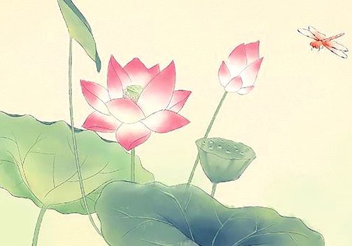 南无阿弥陀佛——崔婆往生记