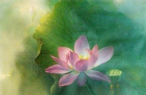 在梦中我犯戒了,我自问:我是发自内心的爱护众生吗?