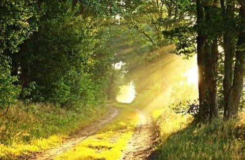 【二郎传说】连载之一：穷子得仙助，瞋心惹天怒