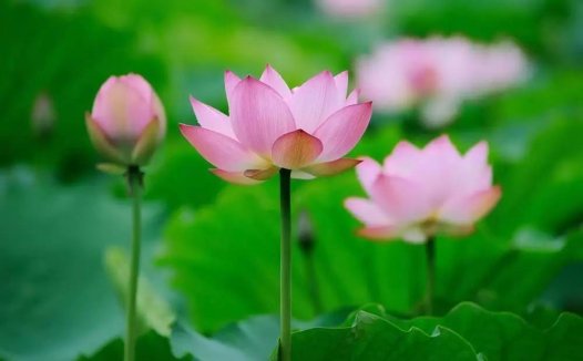 做过很多坏事,今生还能成就吗?