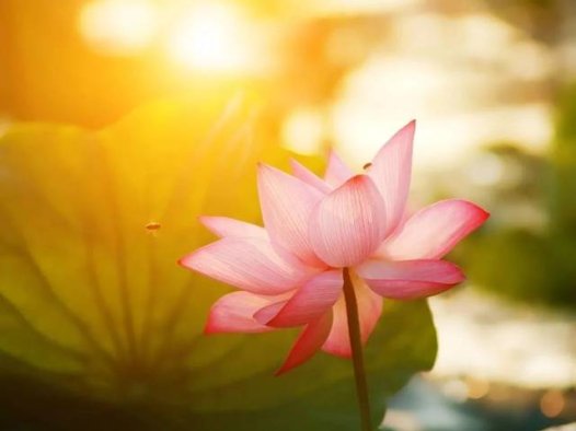 助念时念诵“南无阿弥陀佛”佛号，我受到大加持！