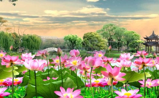 当你浮躁、烦闷、焦虑时,不妨多读读这几则故事