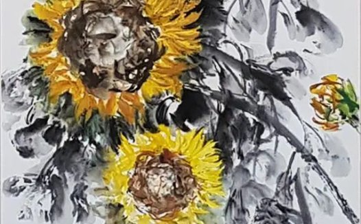 明信因果,收获不一样的人生