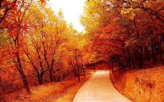 真正有本事的人是这样做的