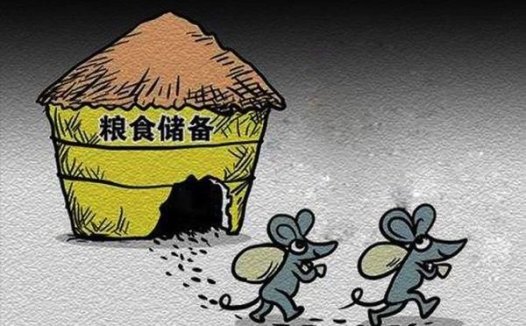 人鼠情缘：面对生活的考验，她依然选择放它们一条生路