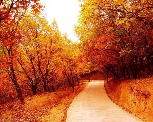 修学如来正法让我改掉了这个恶习