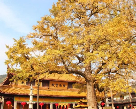 身处逆境，山穷水尽时，你能“潜龙勿用”吗？