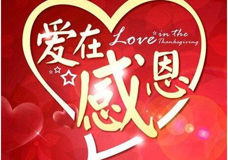 节日庆贺在感恩还是造业,我们能否体会动物的痛苦?