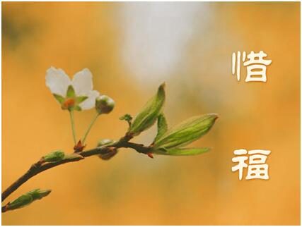 这女孩随手丢弃的只是一把新鲜芹菜吗?