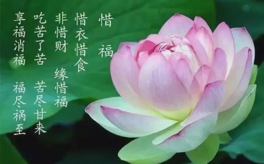 我在佛陀的说法里找到了答案