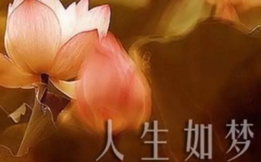 一次让人感动的闻法