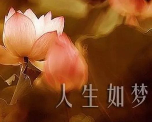 无常不分年龄,生命短促只在一呼一吸之间