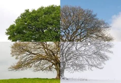 你不相信有轮回,轮回却一直在发生